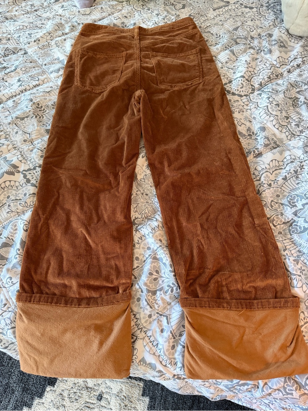 Pilcro Ribbed Corduroy Pants in Warm Brown - Picture 6 of 7
